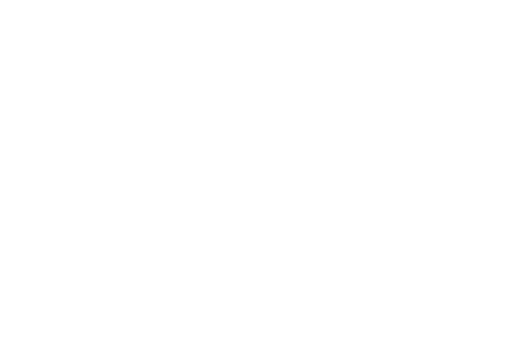 Logo - white