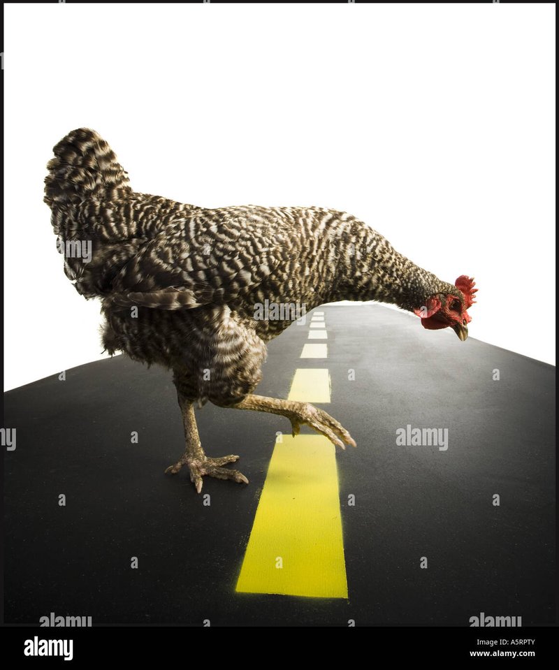 Netherlands - chicken road spel