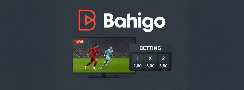Entdecken Sie die großartigen Spiele von Bahigo Casino in der Schweiz Online
